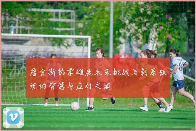 詹金斯执掌雄鹿未来挑战马刺系教练的智慧与应对之道