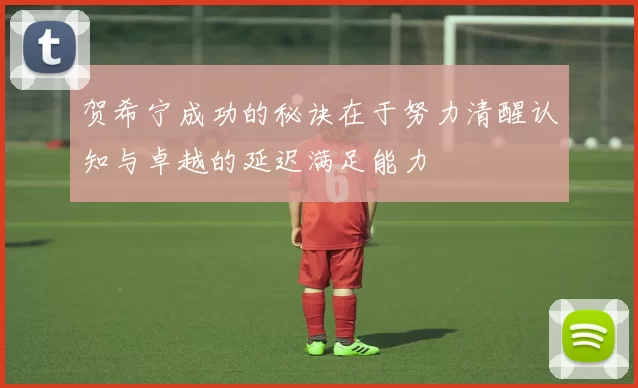 贺希宁成功的秘诀在于努力清醒认知与卓越的延迟满足能力