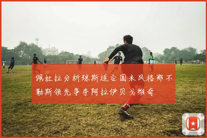 佩杜拉分析琼斯适合国米风格那不勒斯领先争夺阿拉伊贝戈维奇
